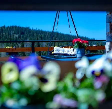 Holiday home Bachledowka View Czerwienne